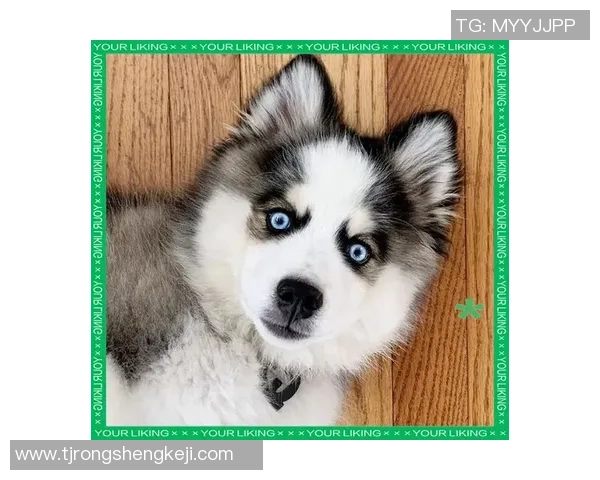 头戴面具的足球明星们如何在赛场上展现独特风采与个性魅力