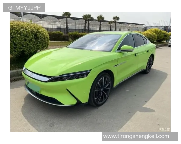 比亚迪汉与巴西足球明星携手共创绿色出行新篇章 比亚迪汉与巴西足球明星携手共创绿色出行新篇章