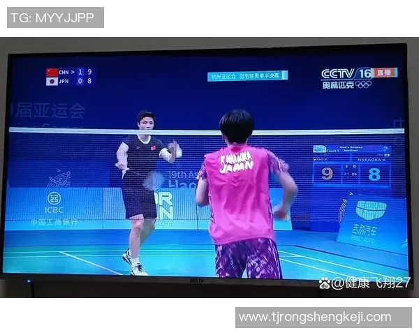 杭州羽毛球队在城市联赛中的技术表现分析与点评