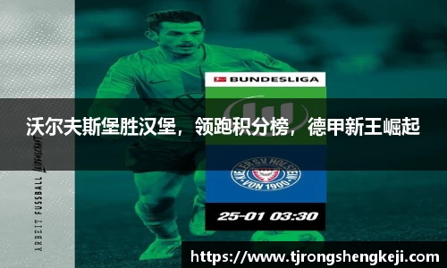 沃尔夫斯堡胜汉堡，领跑积分榜，德甲新王崛起